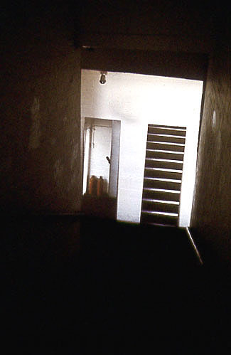 artwork illustration