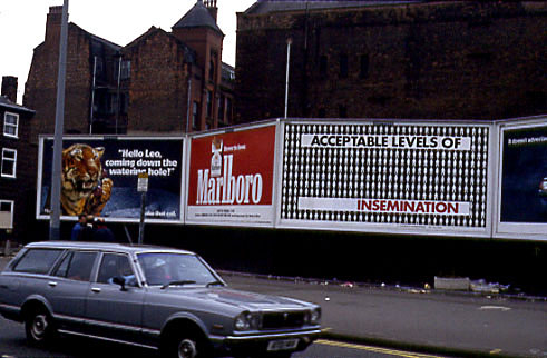 artwork illustration