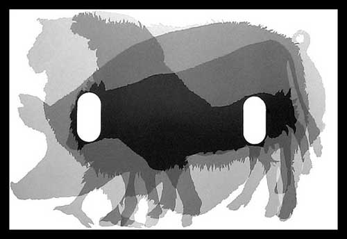 artwork illustration