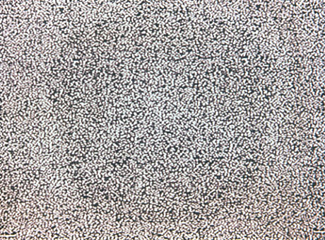 artwork illustration