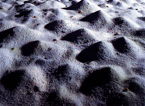 artwork illustration