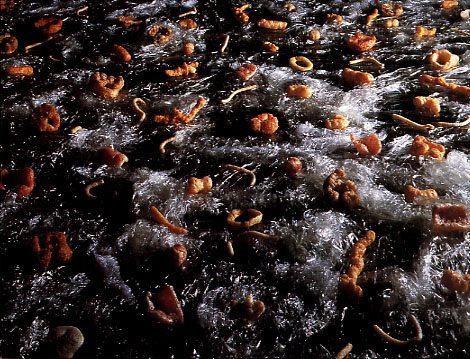 artwork illustration