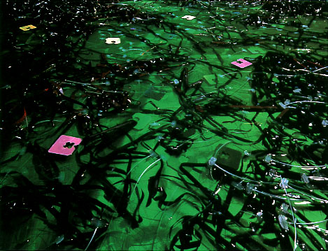 artwork illustration