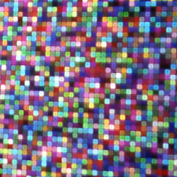 artwork illustration