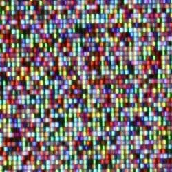 artwork illustration