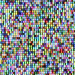 artwork illustration